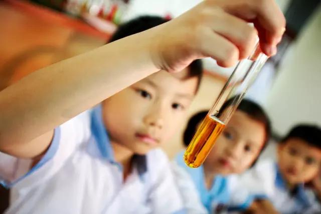 1490685425638776fn2W.jpg yu2.jpg