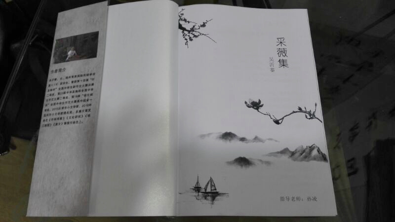 14945777532529333Tb6.jpg 2017051115094500.jpg