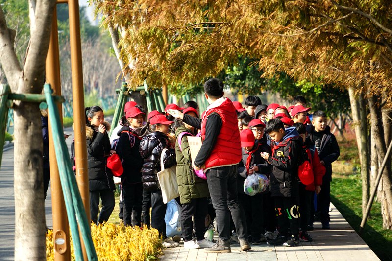 1576461184652180lyDc.jpg 201912131347045219.jpg